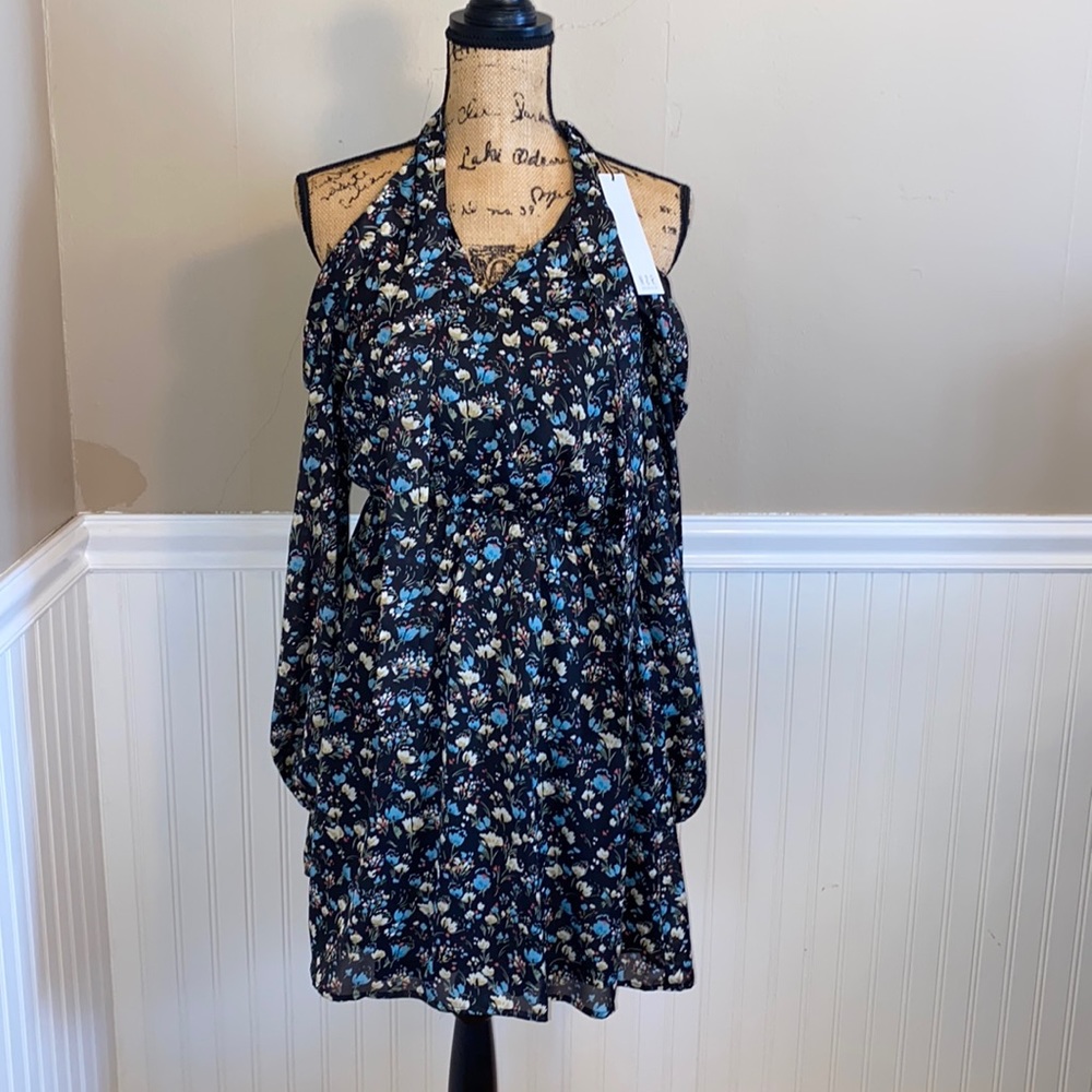 NWT NSR dress